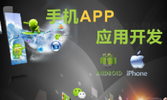 手機(jī)app開(kāi)發(fā)11大步驟、技術(shù)人員、常用接口